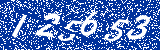 Capcha image