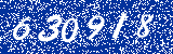 Capcha image